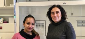 Gir Research Lines - Epigenetics-Unit-Picture