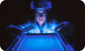 Patents & PI - Genetic Markers