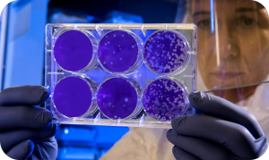 Patents & PI - Molecular Block
