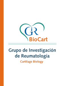 GIR Research Lines BioCart