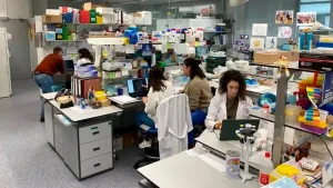 noticia la voz de galicia 26-6-2025